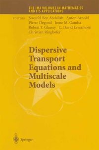 Produktbild: Dispersive Transport Equations and Multiscale Models