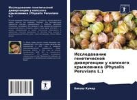 Produktbild: Issledowanie geneticheskoj diwergencii u kapskogo kryzhownika (Physalis Peruvians L.)