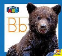 Produktbild: BB