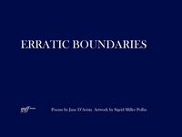 Produktbild: Erratic Boundaries