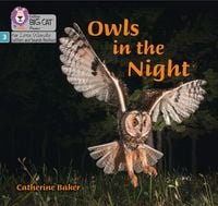 Produktbild: Owls in the Night