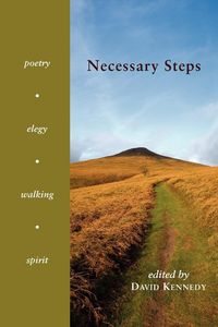 Produktbild: Necessary Steps