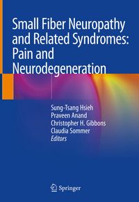 Produktbild: Small Fiber Neuropathy and Related Syndromes: Pain and Neurodegeneration