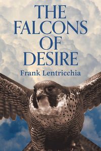 Produktbild: Falcons of Desire