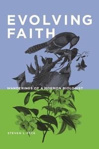 Produktbild: Evolving Faith