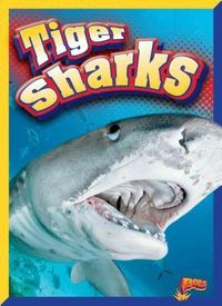 Produktbild: Tiger Sharks