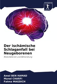 Produktbild: Der isch&auml;mische Schlaganfall bei Neugeborenen