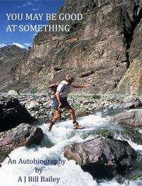 Produktbild: You May Be Good At Something