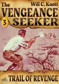 Produktbild: The Vengeance Seeker 3: Trail of Revenge