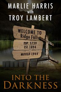 Produktbild: Into the Darkness (Ridge Falls, #1)