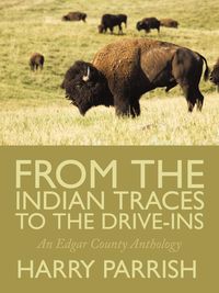 Produktbild: From the Indian Traces to the Drive-Ins