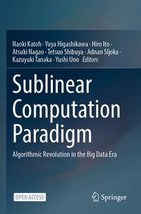 Produktbild: Sublinear Computation Paradigm