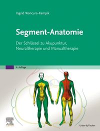 Bild vom Artikel Segment-Anatomie vom Autor Ingrid Wancura-Kampik