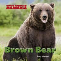 Produktbild: Brown Bear