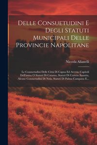 Produktbild: Delle Consuetudini E Degli Statuti Municipali Delle Provincie Napolitane: Le Consuetudini Delle Citt&agrave; Di Capua Ed Aversa, Capitoli Dell'assisa O Statu