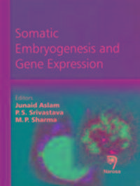 Produktbild: Somatic Embryogenesis & Gene E
