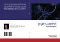 Produktbild: The role of cytokines on synaptic plasticity in the dentate gyrus