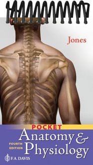 Produktbild: Pocket Anatomy & Physiology