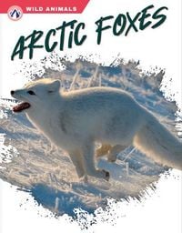 Produktbild: Arctic Foxes