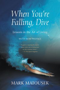 Produktbild: When You're Falling, Dive