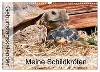Produktbild: Meine Schildkr&ouml;ten - Geburtstagskalender (Wandkalender 2026 DIN A3 quer), CALVENDO Monatskalender