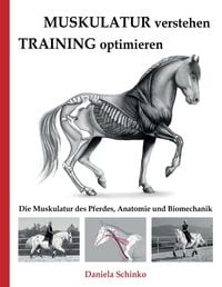 Produktbild: Muskulatur verstehen - Training optimieren