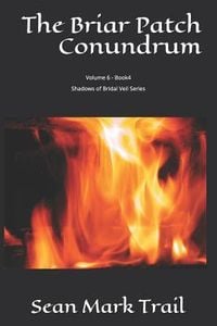 Produktbild: The Briar Patch Conundrum: Volume 6 - Book4 Shadows of Bridal Veil Series