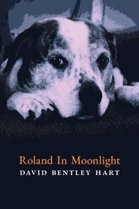 Produktbild: Roland in Moonlight