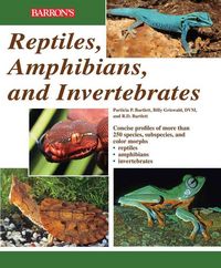 Produktbild: Bartlett, R: Reptiles, Amphibians and Invertebrates
