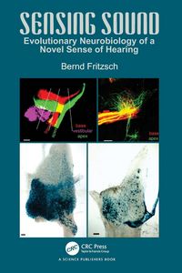 Produktbild: Sensing Sound