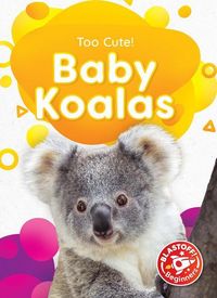 Produktbild: Baby Koalas