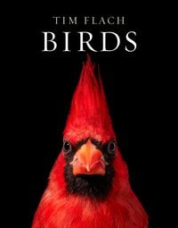 Produktbild: Birds