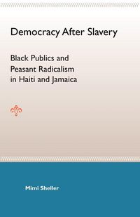 Produktbild: Democracy After Slavery
