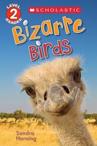 Produktbild: Bizarre Birds