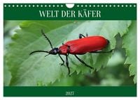 Produktbild: WELT DER K&Auml;FER (Wandkalender 2027 DIN A4 quer), CALVENDO Monatskalender