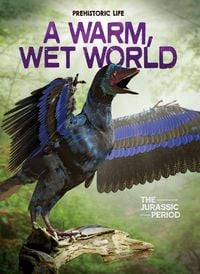 Produktbild: A Warm, Wet World