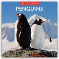 Produktbild: Penguins &ndash; Pinguine 2027 &ndash; 16-Monatskalender