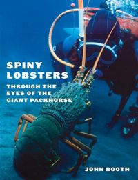 Produktbild: Spiny Lobsters