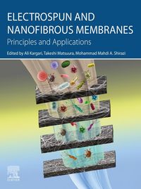 Produktbild: Electrospun and Nanofibrous Membranes