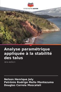 Produktbild: Analyse param&eacute;trique appliqu&eacute;e &agrave; la stabilit&eacute; des talus