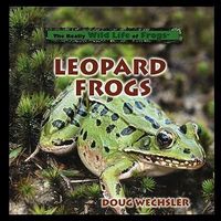 Produktbild: Leopard Frogs