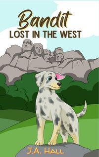 Produktbild: Bandit Lost in the West