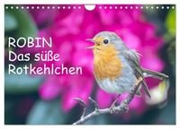 Produktbild: Robin, das s&uuml;&szlig;e Rotkehlchen (Wandkalender 2027 DIN A4 quer), CALVENDO Monatskalender