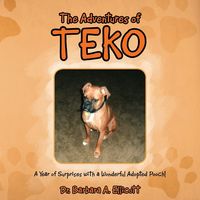 Produktbild: The Adventures of Teko