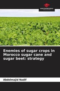 Produktbild: Enemies of sugar crops in Morocco sugar cane and sugar beet: strategy