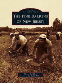 Produktbild: Pine Barrens of New Jersey