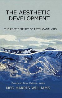 Produktbild: The Aesthetic Development