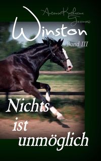 Bild vom Artikel Winston - Nichts ist unmöglich vom Autor Antonia Katharina Tessnow
