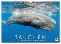 Produktbild: Tauchen: Wunderbares tiefblaues Meer (Wandkalender 2026 DIN A3 quer), CALVENDO Monatskalender
