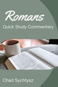 Produktbild: Romans QuickStudy Commentary